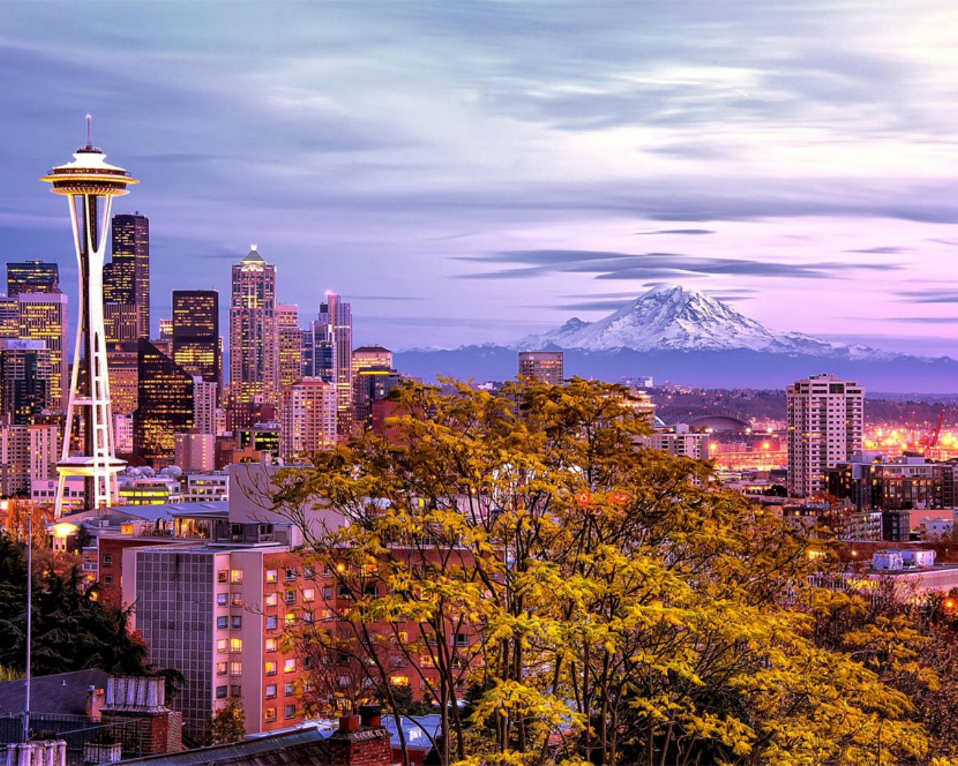 Lynnwood Office 2